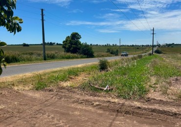 TERRENOS EN COLONIA ENSAYO, CAMINO A FIDANZA 